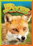 Red Foxes ( Wild Animal Kingdom )