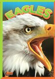 Eagles ( Wild Animal Kingdom )