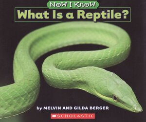 What Is a Reptile? ( Now I Know )