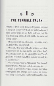EllRay Jakes the Recess King! (Ellray Jakes #08) (Hardcover)