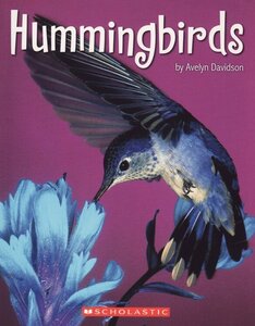 Hummingbirds (Brain Bank)