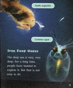 Deep Sea Explorers