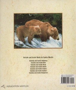 Growing Up Wild: Bears (Soar to Success)