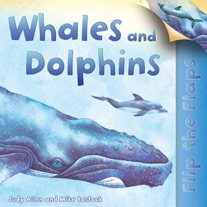 Whales and Dolphins ( Flip the Flaps ) (Paperback)