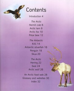 Polar Lands (Lifecycles) (Paperback)