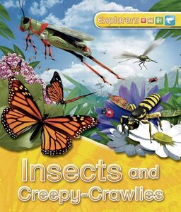 Insects and Creepy Crawlies ( Explorers )