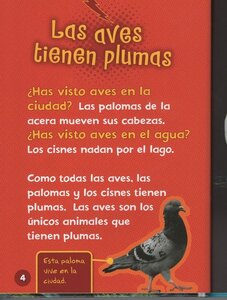 Sabes Algo Sobre Aves? (Do You Know about Birds?) (Libros Rayo)
