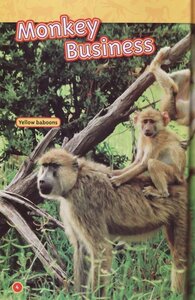 Monkeys (National Geographic Kids Readers Level 2) (B)