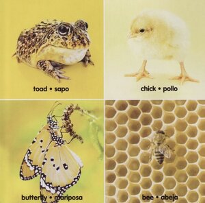Colorful Animals / Animales Coloridos (Board Book)