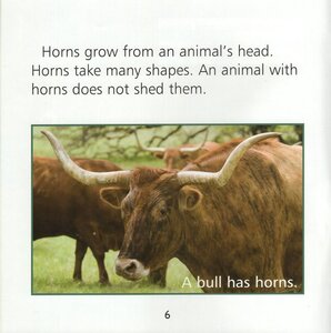 Horns Humps and Hooks (What Animals Wear)