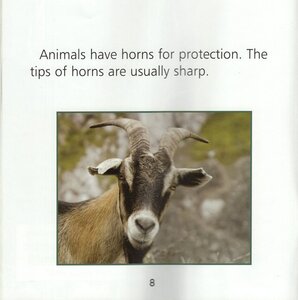 Horns Humps and Hooks (What Animals Wear)