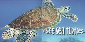 What Do You See In The Sea ( Rourke Board Book ) (A)