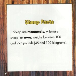 Sheep on the Farm (Farm Animals)