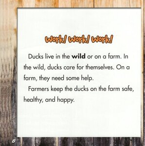 Ducks on the Farm (Farm Animals)