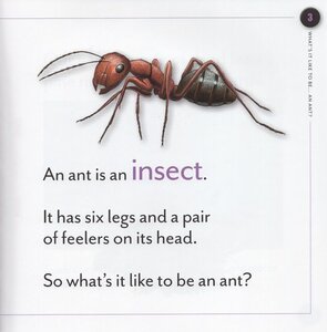 What's It Like to Be An Ant (What's It Like to Be A.....)