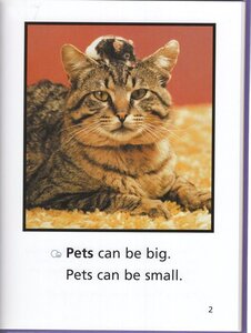 About Pets ( We Both Read Level 1)