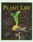 Plant Life ( Straightforward Science )
