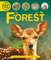 Forest ( Lifecycles ) (Paperback)