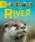 River ( Lifecycles ) (Paperback)
