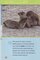 Sigueme: Animales Papas y Bebes (Follow Me: Animal Parents and Babies) (National Geographic Kids Readers Level 1 Spanish)