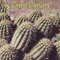 Desert Dwellers / Who Lives in the Desert (Rourke Board Book)