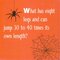 What Has Eight Legs and... (Spiders Spiders) (Rourke Board Book)