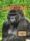 Gorillas ( Eye to Eye With Endangered Species )