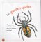 What's It Like to Be A Spider (What's It Like to Be A...)