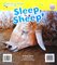 That Cat / Sleep Sheep ( Word Families )