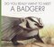 Do You Really Want to Meet a Badger? (Do You Really Want to Meet Wild Animals)