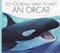 Do You Really Want to Meet an Orca? (Do You Really Want to Meet Wild Animals)