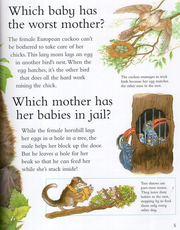 I Wonder Why Kangaroos Have Pouches and Other Questions About Baby Animals