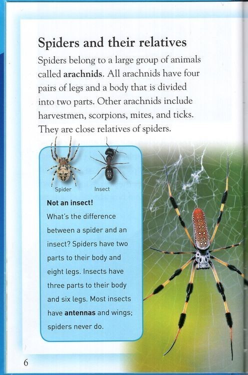 Spiders: Deadly Predators ( Kingfisher Readers Level 4 ) (Hardcover)