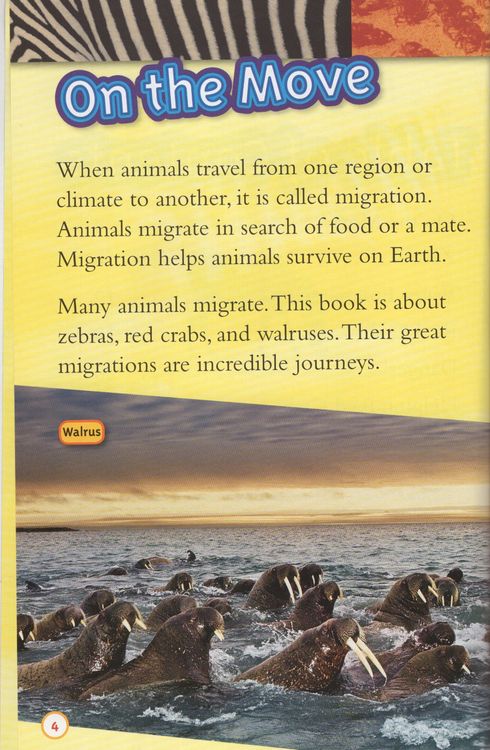 Amazing Animal Journeys (Great Migrations) (National Geographic Kids  Readers Level 3)