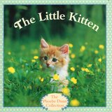 Little Kitten (Paperback)