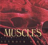 Muscles: Our Muscular System