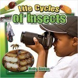 Life Cycles of Insects (Insects Close Up)
