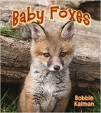 Baby Foxes (It's Fun to Learn about Baby Animals)