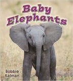 Baby Elephants (It's Fun to Learn about Baby Animals)