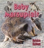 Baby Marsupials (It's Fun to Learn about Baby Animals)
