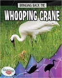 Bringing Back the Whooping Crane (Animals Back from the Brink)