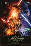 Star Wars the Force Awakens (Junior Novel)
