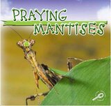 Mantis Religiosas (Praying Mantis) ( Insectos Biblioteca del descubrimiento [Insects Discovery Library] )