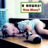 How Many? (Board Book) (Korean/English)