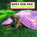 Where's the Puppy? (Board Book) (Korean/English)