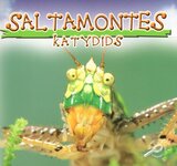 Katydids / Saltamontes ( Insects Discovery Library ) (Paperback) 