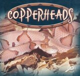 Copperheads ( Amazing Snakes Discovery Library )