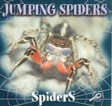 Jumping Spiders ( Spiders Discovery Library ) A