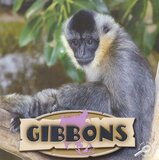Gibbons ( Amazing Apes )