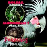 Pouches Pads and Plumes / Bolsas almohadillas y penachos ( What Animals Wear Bilingual )